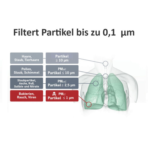 PuraLuft Luftreiniger mit Ionisator ARP-FG4.80H Partikel